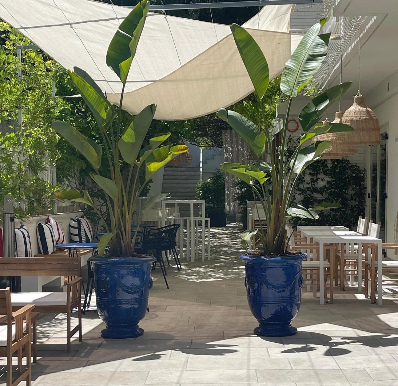 Mure Hotel 努马纳 外观 照片